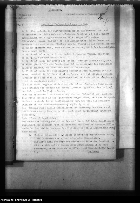 Obraz 11 z jednostki "Typhus"