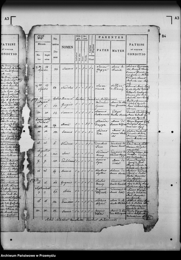 Obraz 16 z jednostki "[Kopie ksiąg metrykalnych parafii Małnów (dekanat Mościska)]"