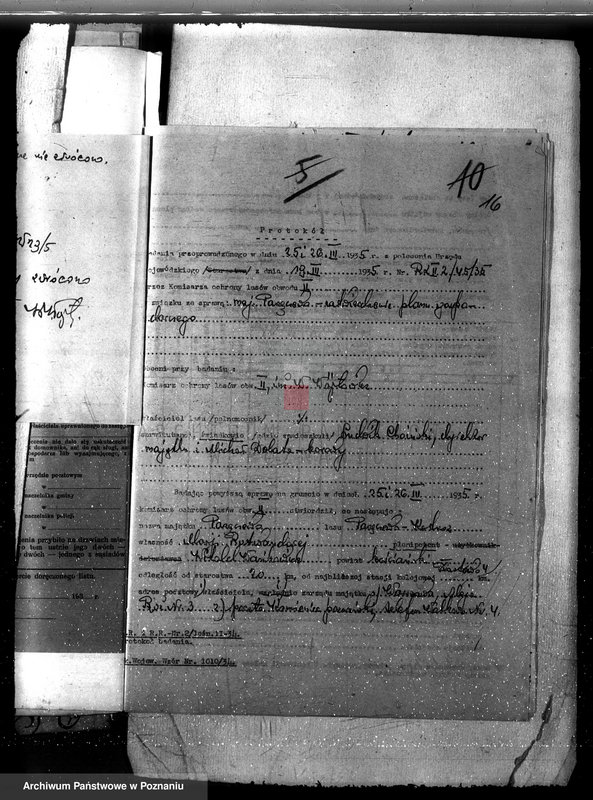 Obraz 20 z jednostki "Majętność leśna w Parzęcinie powiat kościański"