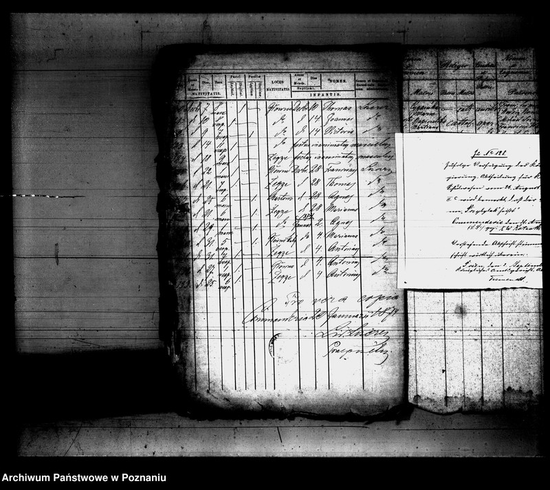 Obraz 9 z jednostki "Księga urodzeń"