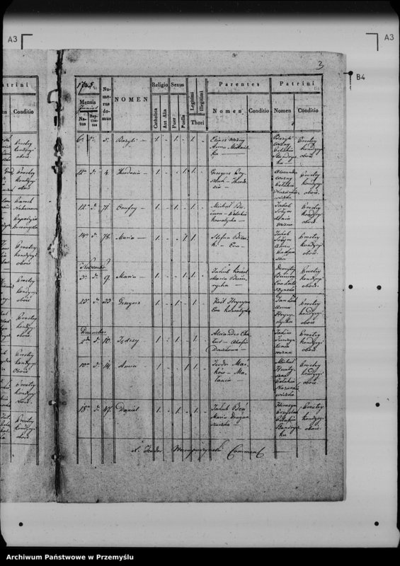 Obraz 8 z jednostki "[Kopie ksiąg metrykalnych parafii Lipowiec (dekanat Lubaczów)]"