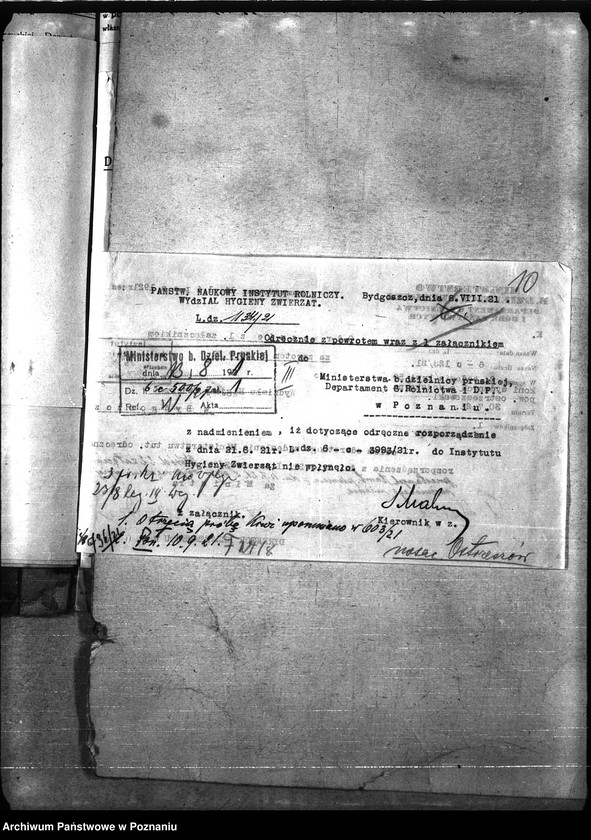 Obraz 14 z jednostki "Nosacizna - Ostrzeszów"