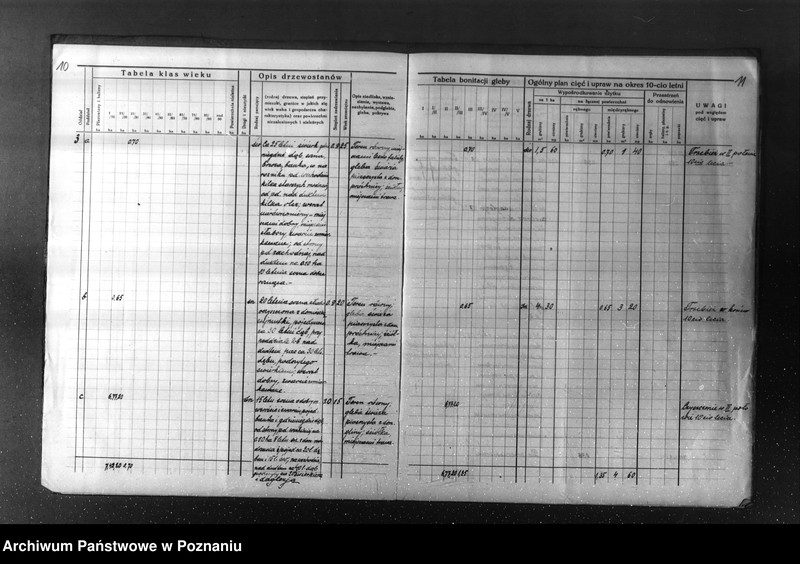 Obraz 10 z jednostki "Plan urządzenia gospodarstwa leśnego dla lasu majętności Kuleczyn w powiat nowotomyski 1933-1943"