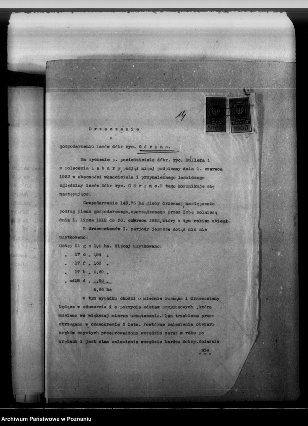 Obraz 18 z jednostki "Majętność leśna Górzno-Bojanice powiat leszczyński"