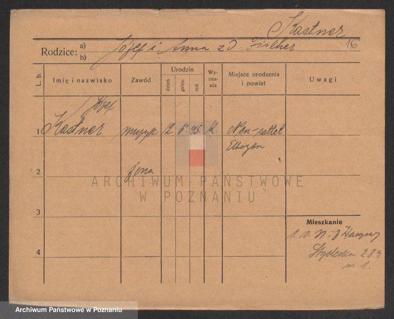 Obraz 16 z jednostki "Kaster - Katerla"