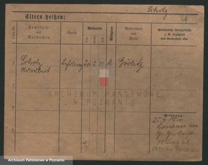 Obraz 11 z jednostki "Szulc (samotni mężczyźni do Juliusz)"