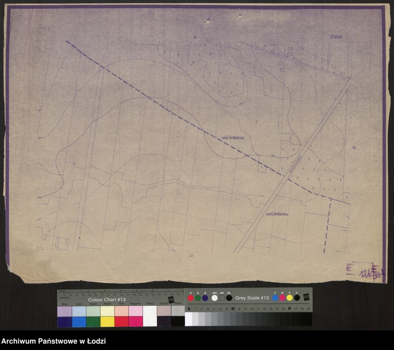 Obraz 1 z jednostki "Plan miasta Łodzi Sekcja NW 48"