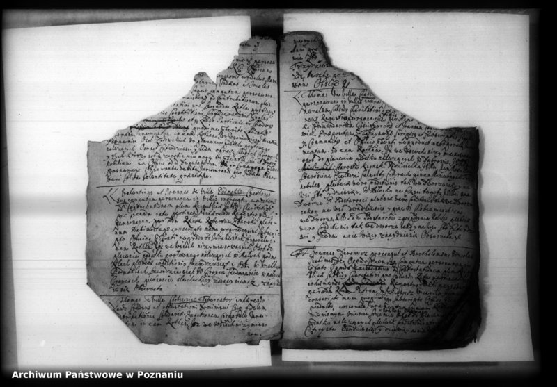 Obraz 4 z jednostki "Iuramenta [protocollon]"