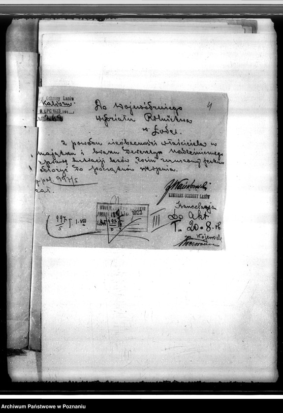 Obraz 8 z jednostki "Sprawa uzyskania zezwolenia na wyrąb jednorazowy 3 poręb w lesie majątku Mycielin powiat kaliski"