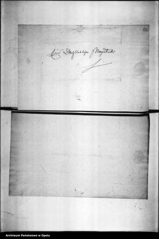 Obraz 19 z jednostki "Acta des Magistrats zu Oppeln betreffend die Einreichung der Nachweisungen der von den Schiedsmänner zu Stande Gebrachten Vergleiche an das Königl[iche] Oberlandesgericht. De Anno 1835-1858"
