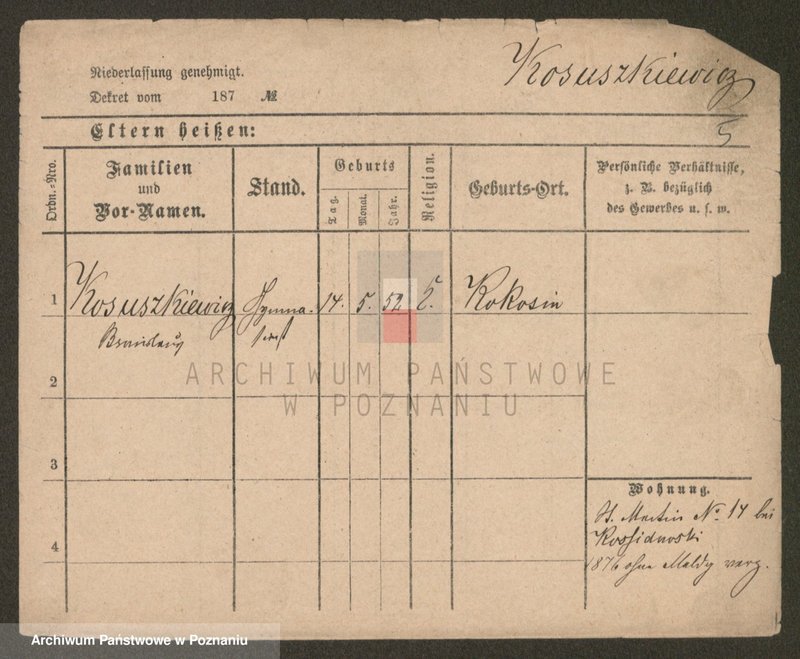 Obraz 5 z jednostki "Kosubucki - Kotas"