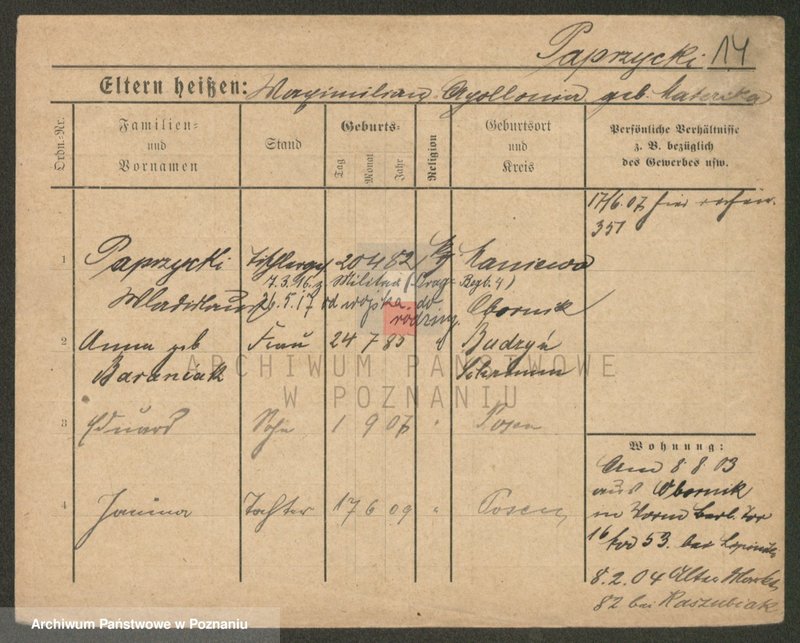 Obraz 14 z jednostki "Paprzycki - Pasiak"