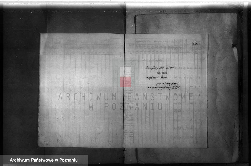 Obraz 20 z jednostki "Majętność leśna Ławica w powiecie międzychodzkim /plan urządzenia gospodarstwa leśnego/"