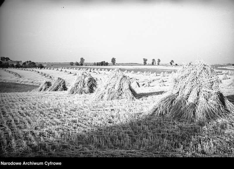 image.from.unit.number "Służewo w województwie pomorskim"