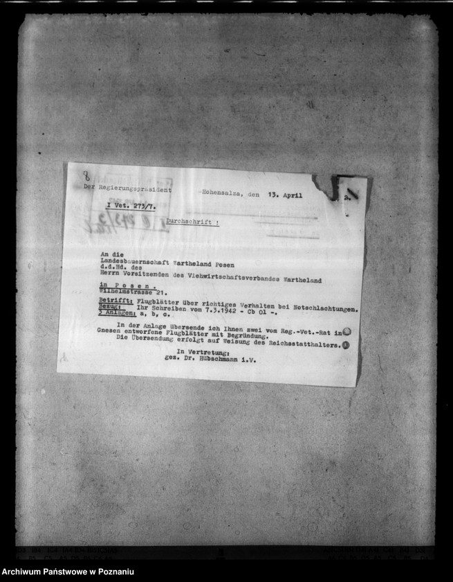 Obraz 12 z jednostki "Notschlachtungen"