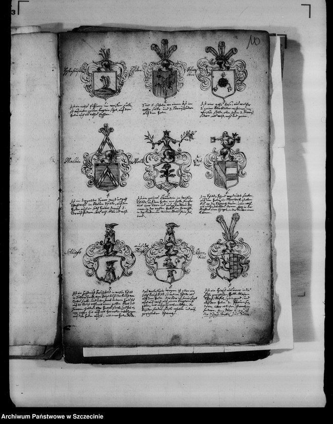 image.from.unit.number "Abbildungen von 178 adelichen grostentheils Pommern-Wappen der pommerschen adlichen Familien"