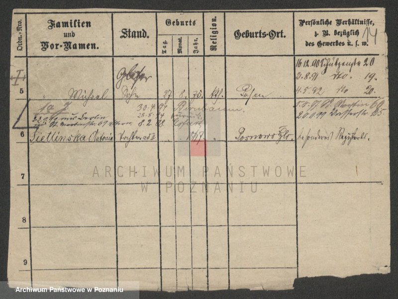Obraz 14 z jednostki "Jaskulski - Jaszczyk"