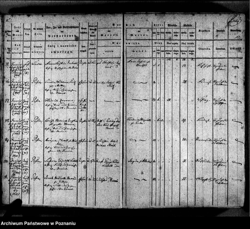 Obraz 15 z jednostki "Sterbenbuch"
