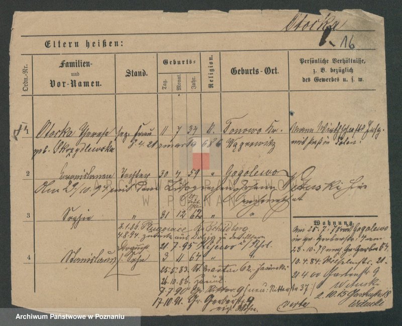 Obraz 16 z jednostki "Otocki - Owczarz"