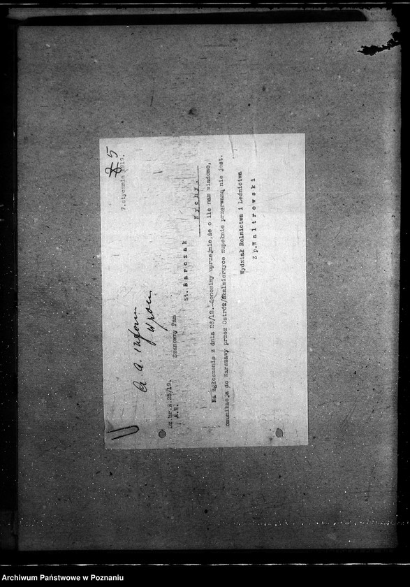 Obraz 9 z jednostki "Informacja o rolnictwie"