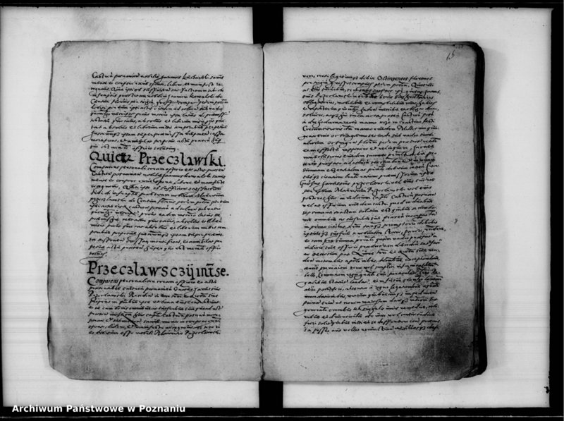 Obraz 19 z jednostki "Inscriptiones, relationes [inducta]"