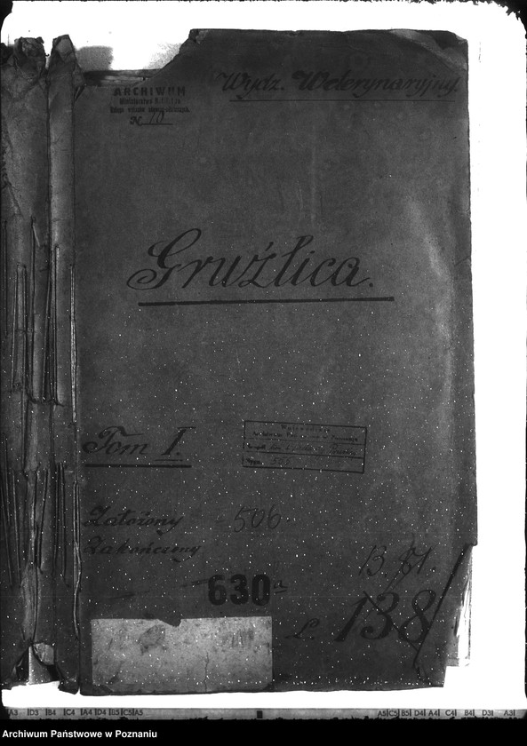 Obraz 4 z jednostki "Gruźlica"