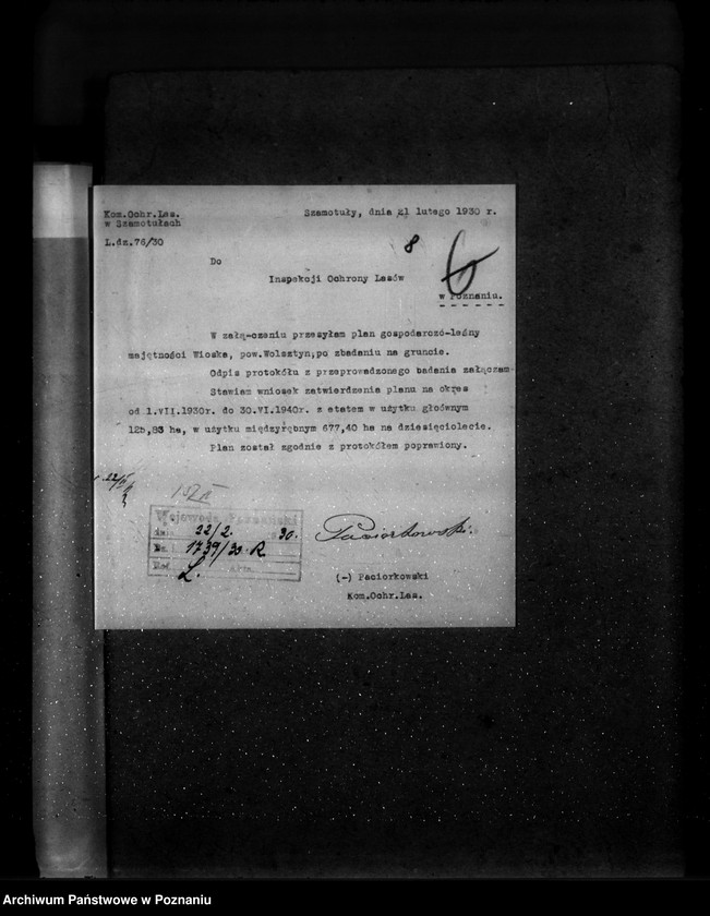 Obraz 12 z jednostki "Majętność leśna Wioska powiat wolsztyński"