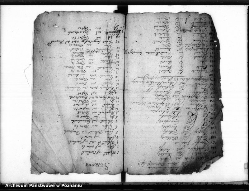 Obraz 5 z jednostki "Inscriptiones, (resignationes) [protocollon]"