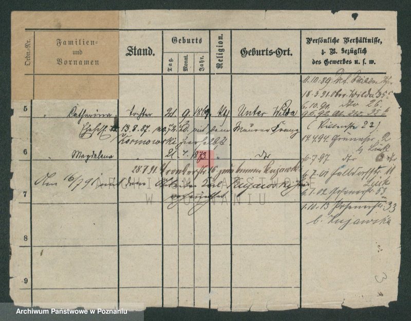 Obraz 5 z jednostki "Pfeifke - Pfleging"