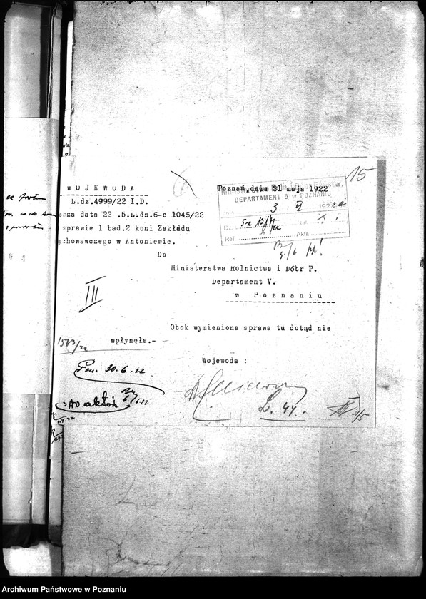 Obraz 18 z jednostki "Nosacizna - Wągrowiec"