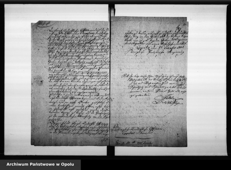 Obraz 11 z jednostki "Acta der Gemeinde zu Wilhelmsthal [Bolko] betreffend Gemeinde Angelegenheiten Vol. IV"