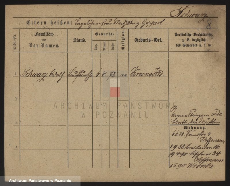 Obraz 19 z jednostki "Szwarc (samotni mężczyźni i kobiety)"