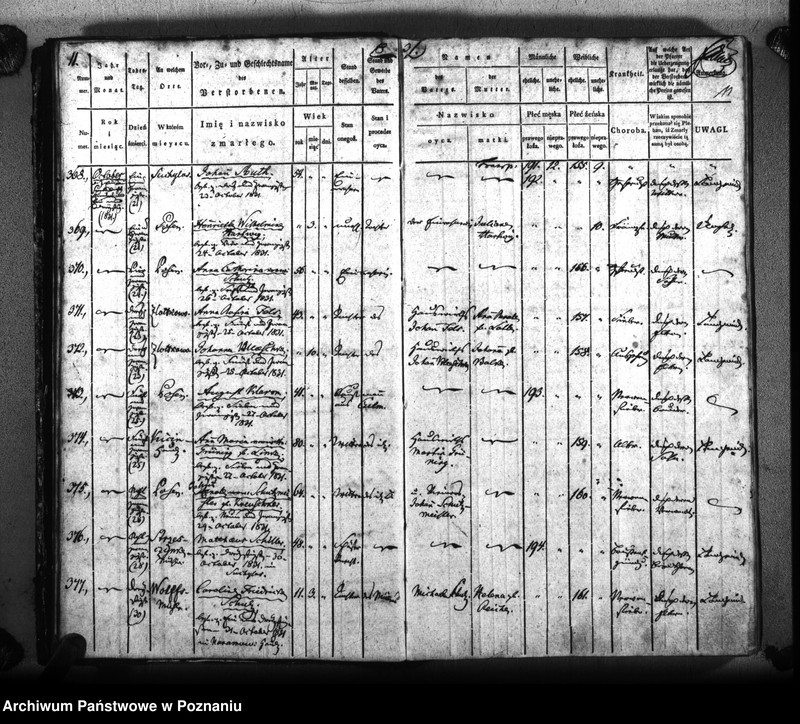 Obraz 14 z jednostki "Sterbenbuch"