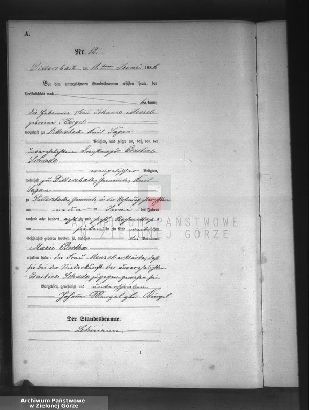 Obraz 15 z jednostki "[Księga aktów urodzeń]"