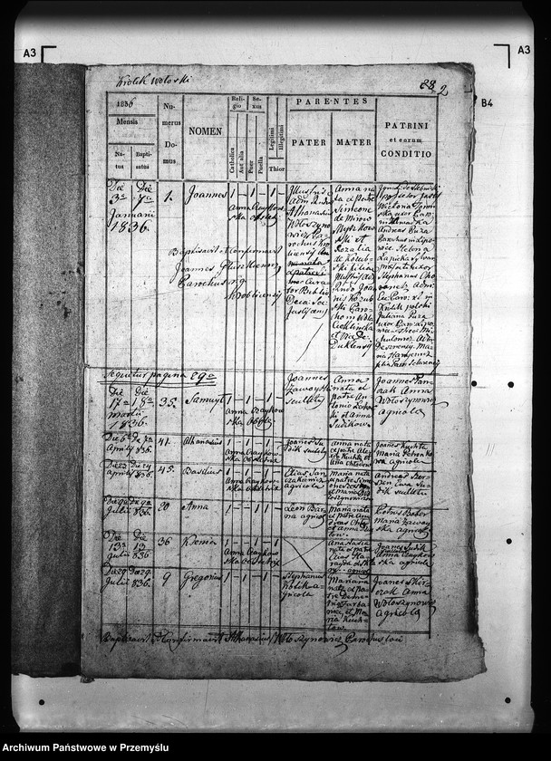 Obraz 6 z jednostki "[Kopie ksiąg metrykalnych parafii Królik Wołoski z filią Królik Polski (dekanat Rymanów)]"