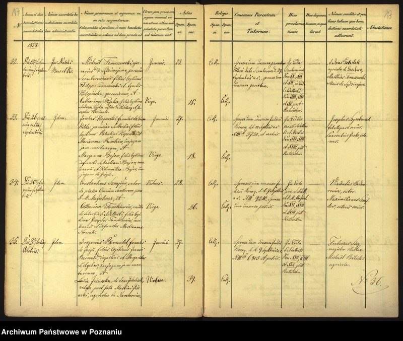 Obraz 12 z jednostki "Księga małżeństw"