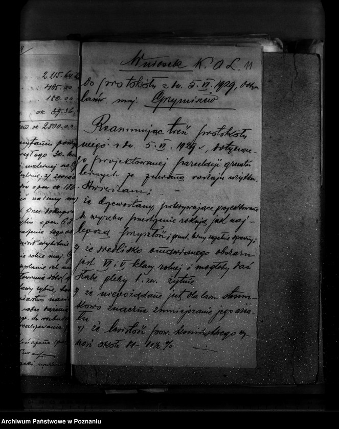 Obraz 15 z jednostki "Zmiana rodzaju użytkowania w związku z parcelacją 84 ha gruntów leśnych w majątku Grzymiszew powiat turecki"