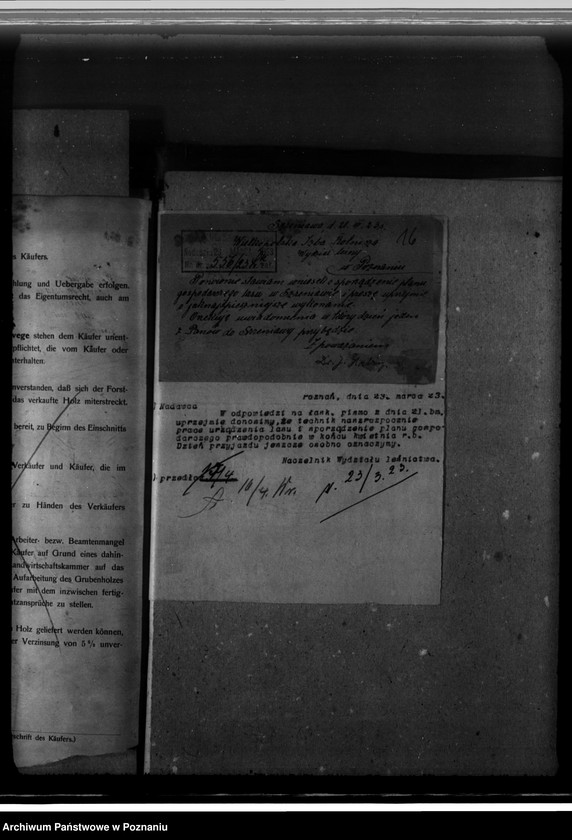 Obraz 20 z jednostki "Zarząd majętności /leśnej/ Szreniawa powiat poznański"