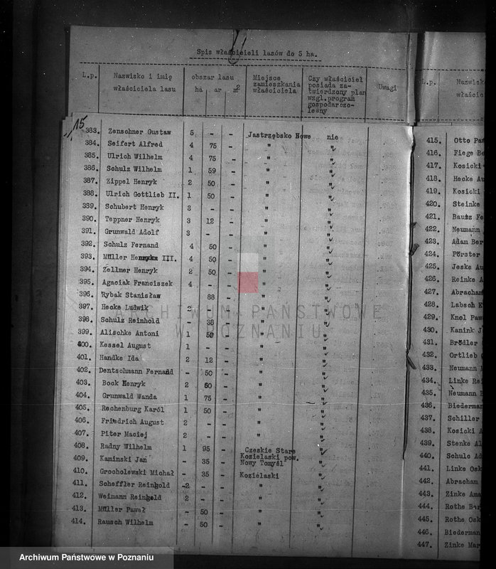 Obraz 19 z jednostki "Spis właścicieli lasów do 30 ha powiat nowotomyski"