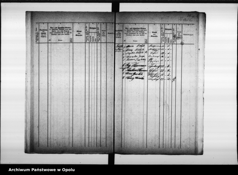 Obraz 20 z jednostki "Acta des Magistrats zu Oppeln betreffend die Aufnahme der Seelenzahl im Adalbert - Bezirk"