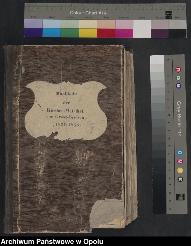 image.from.unit.number "Duplikate der Kirchen-Matrikel von Grosz-Briesen [Gross Briesen]1830-1858 [kościół filialny w Brzezinach parafii rzymskokatolickiej w Skoroszycach (Friedewalde)]"