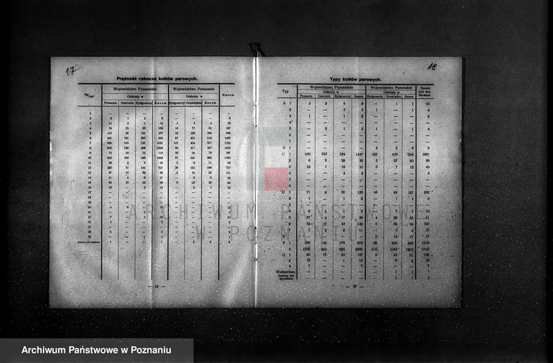 Obraz 14 z jednostki "Sprawozdanie Stowarzyszenia Dozoru Kotłów w Poznaniu za rok 1928"