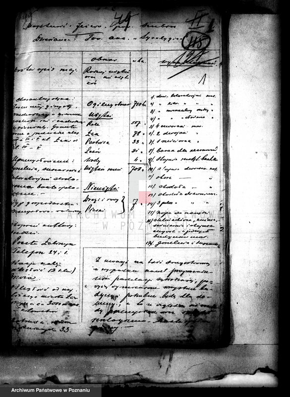 Obraz 5 z jednostki "Majątek Jeżewo powiatu szubińskiego /sprawy administracyjne/"