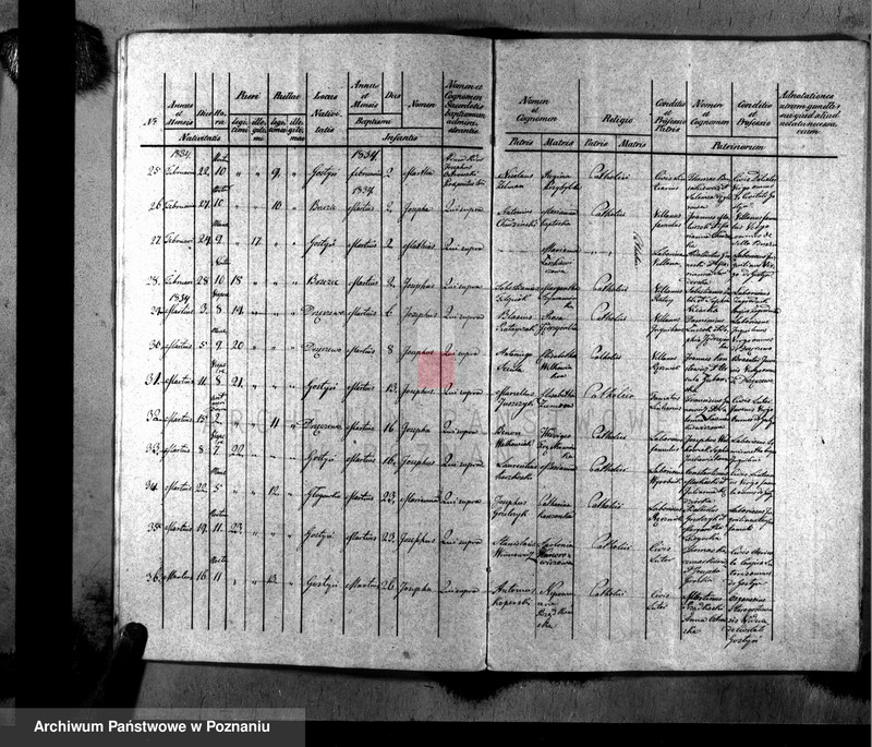Obraz 5 z jednostki "Liber baptisatorum, copulatorum, mortuorum"