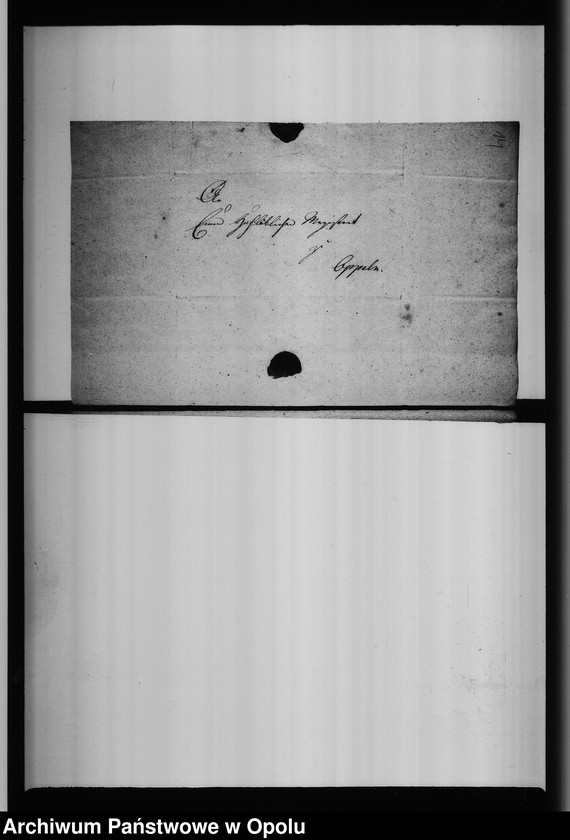 Obraz 19 z jednostki "Acta von Anfertigung und Einsendung der Nachweisung von den sich hier aufhaltenden verabschiedeten Officieren"