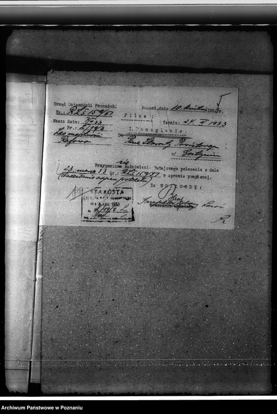 Obraz 9 z jednostki "Nadzór nad gospodarką w lasach majętności Rogowo w powiecie gostyńskim"