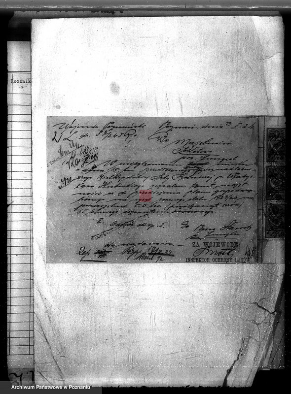 Obraz 6 z jednostki "Majętność leśna Sokołowice powiat kościański"