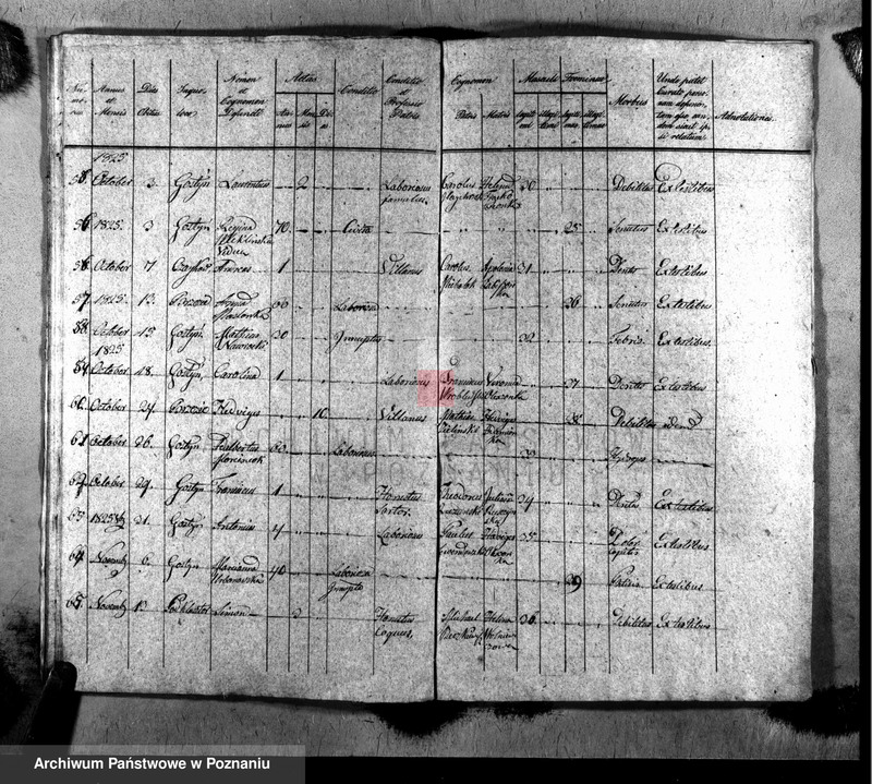image.from.unit.number "Liber baptisatorum, copulatorum, mortuorum"
