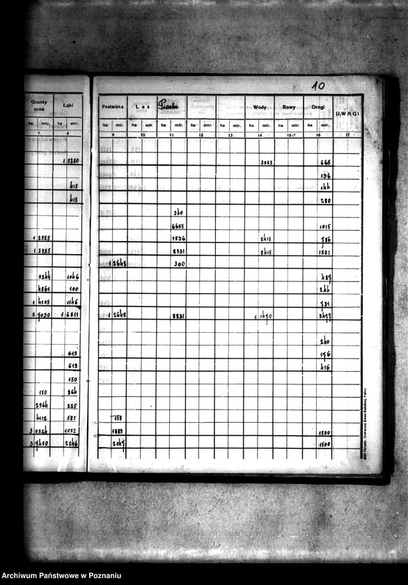 Obraz 14 z jednostki "Rejestr pomiarowy wsi Szczepidło powiatu konińskiego"