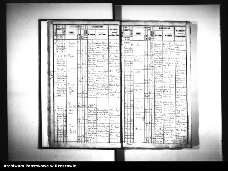 image.from.unit.number "Księga urodzeń - Siedliska"